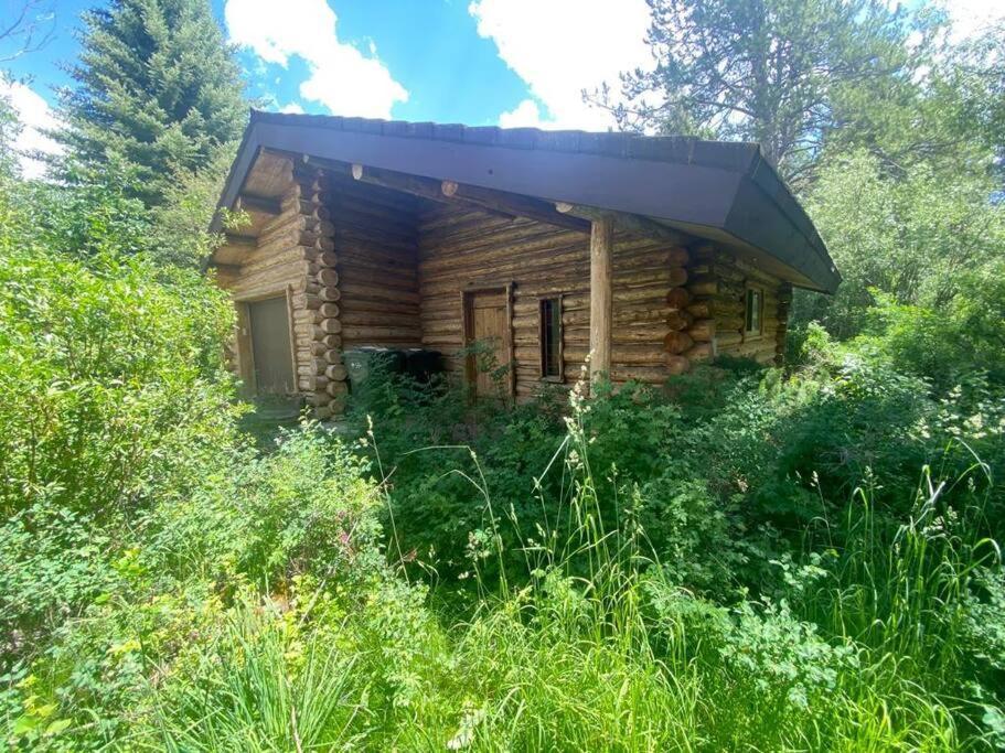 Aspen'S Cabin Wilson Εξωτερικό φωτογραφία